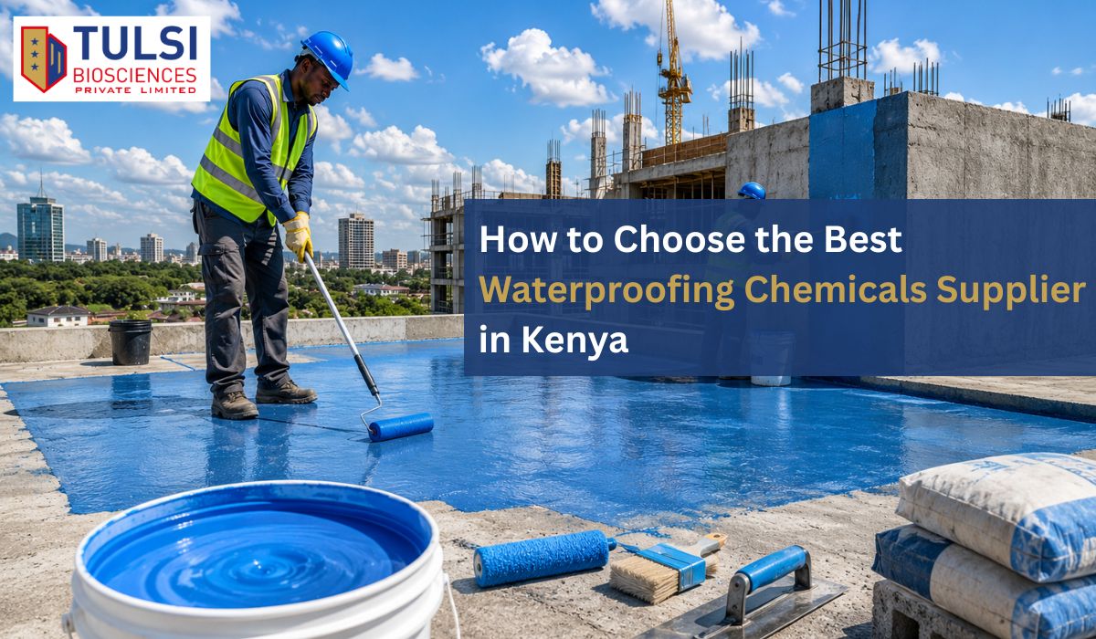 how-to-choose-the-best-waterproofing-chemicals-supplier-in-kenya
